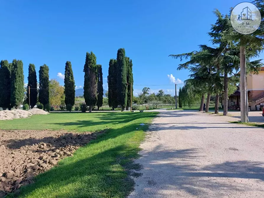 Immagine 20 di Attività commerciale in vendita  a Montelibretti
