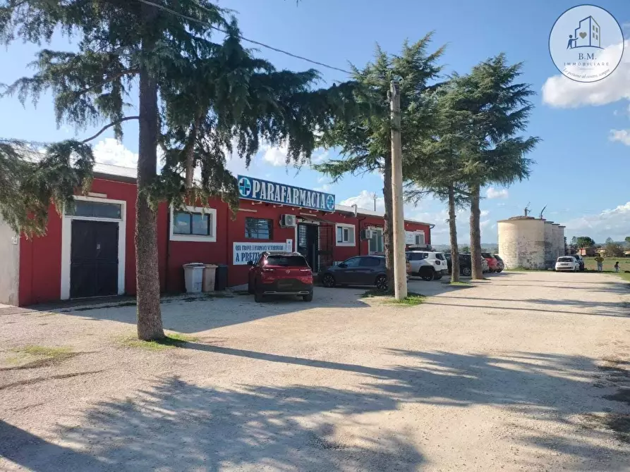Immagine 1 di Attività commerciale in vendita  a Montelibretti