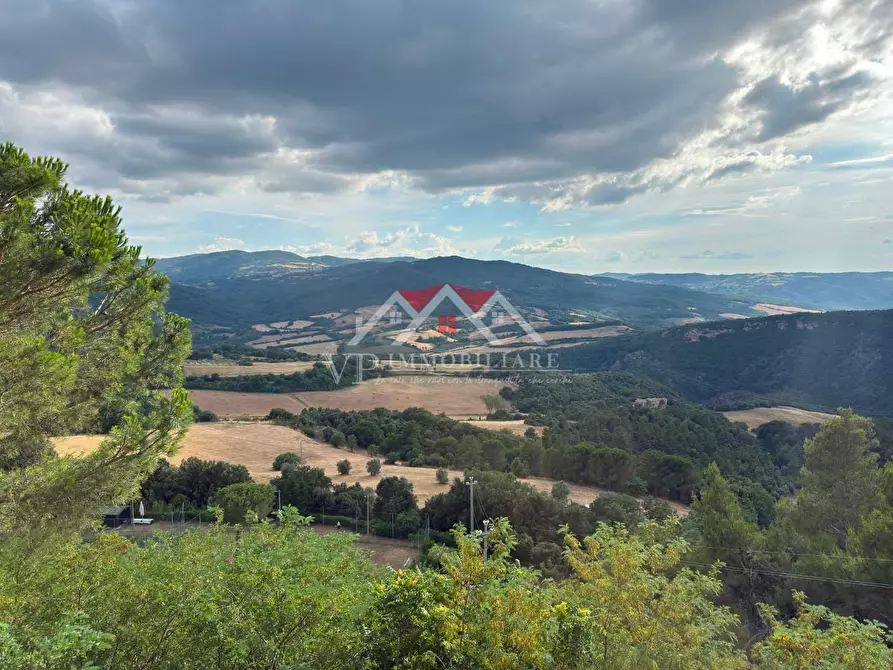 Immagine 10 di Appartamento in vendita  a Castelnuovo Val Di Cecina