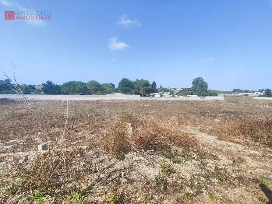 Immagine 5 di Terreno agricolo in vendita  a Lecce