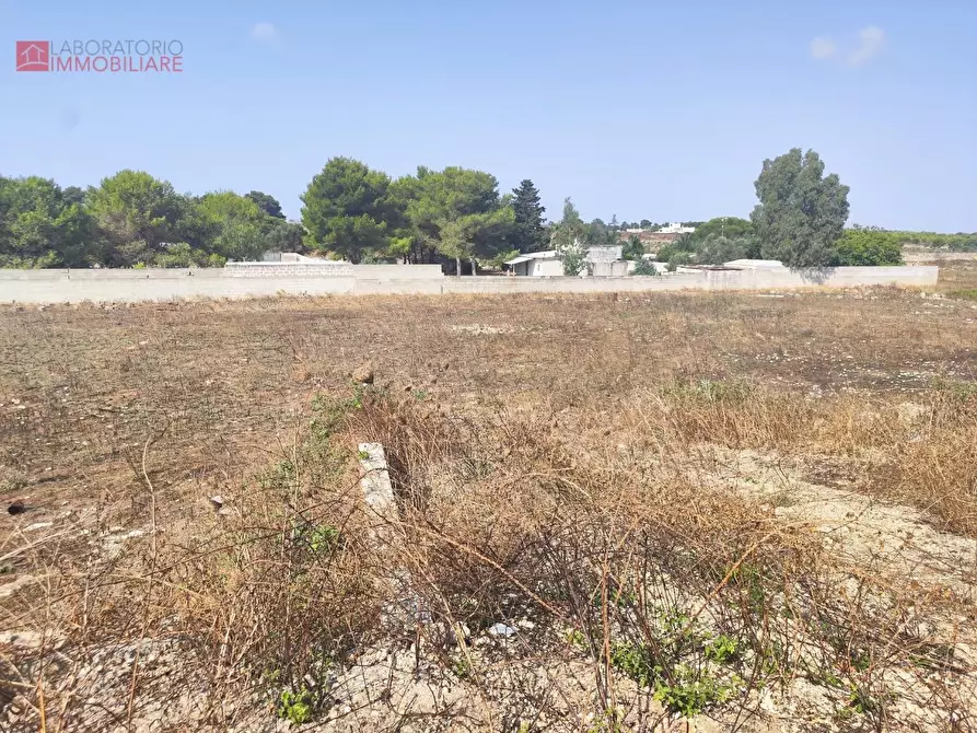 Immagine 1 di Terreno agricolo in vendita  a Lecce