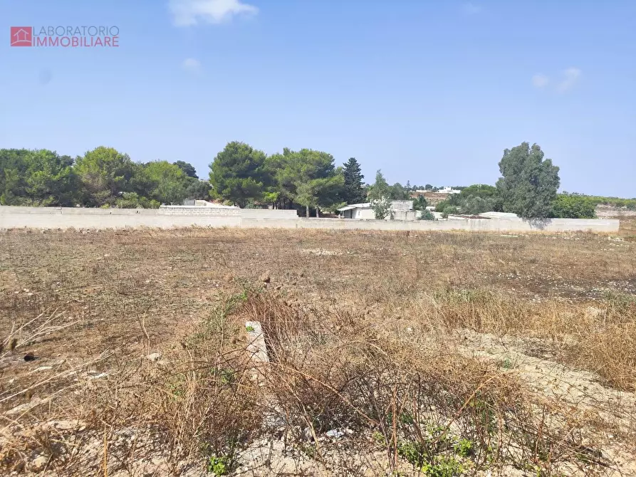 Immagine 4 di Terreno agricolo in vendita  a Lecce