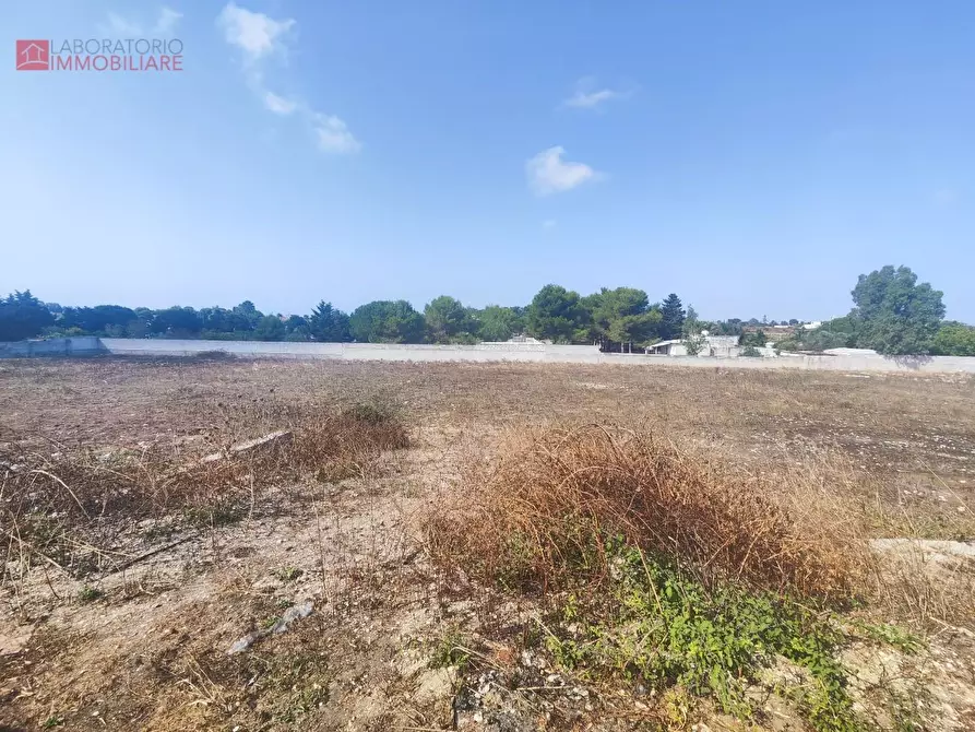 Immagine 3 di Terreno agricolo in vendita  a Lecce