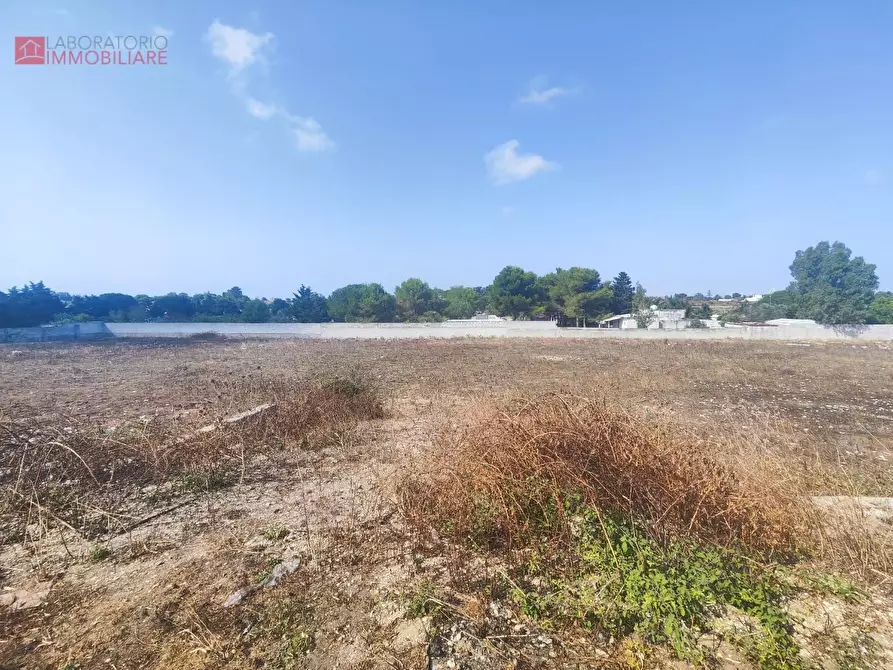 Immagine 2 di Terreno agricolo in vendita  a Lecce