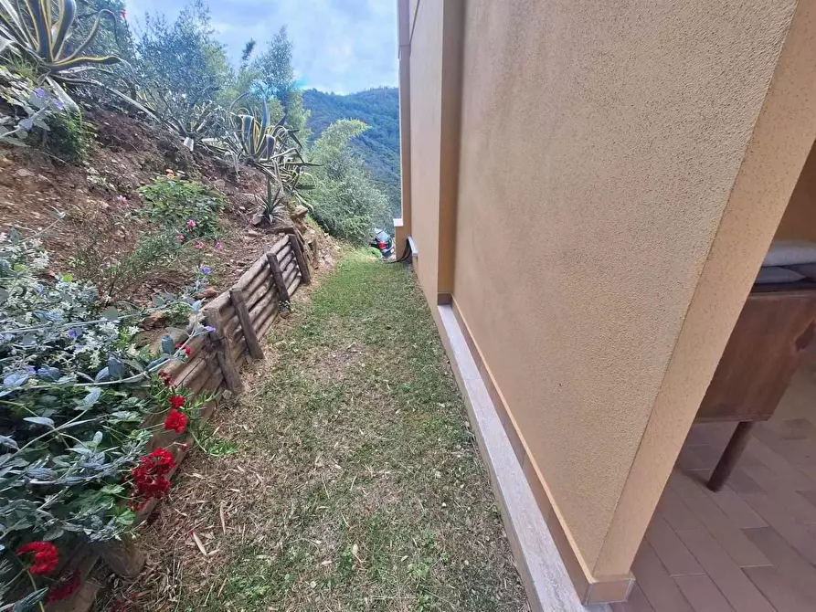 Immagine 3 di Villa in vendita  a Massarosa