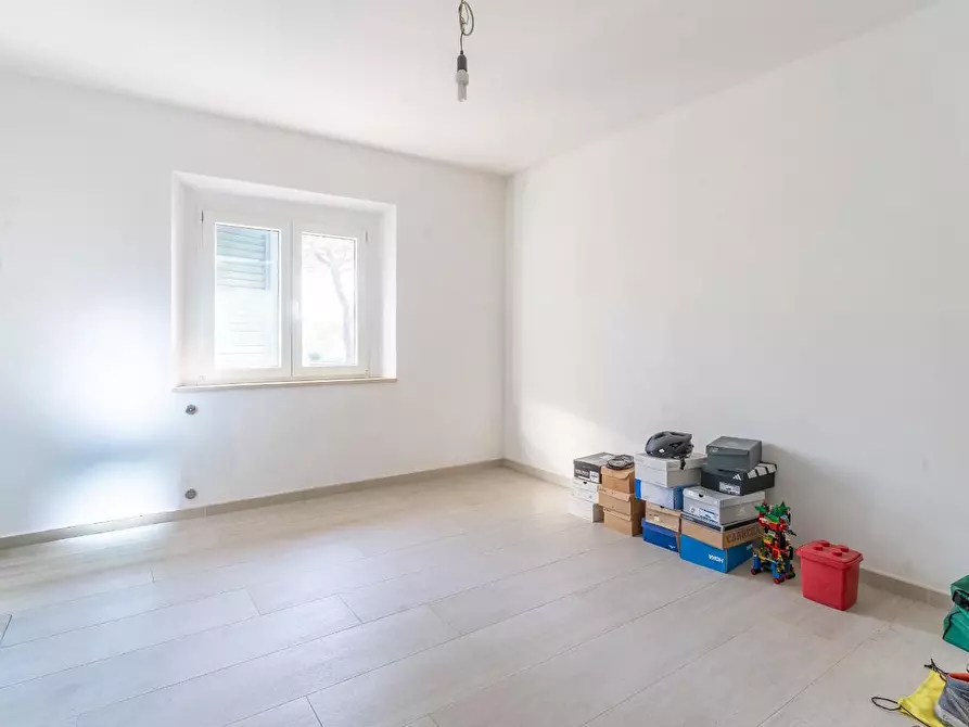 Immagine 22 di Terratetto in vendita  a Empoli