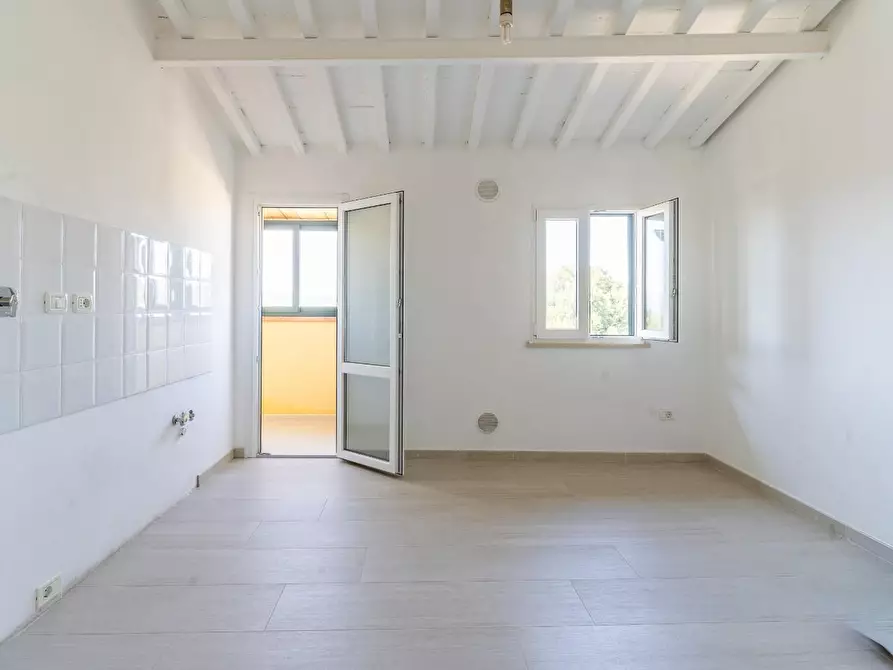 Immagine 12 di Terratetto in vendita  a Empoli