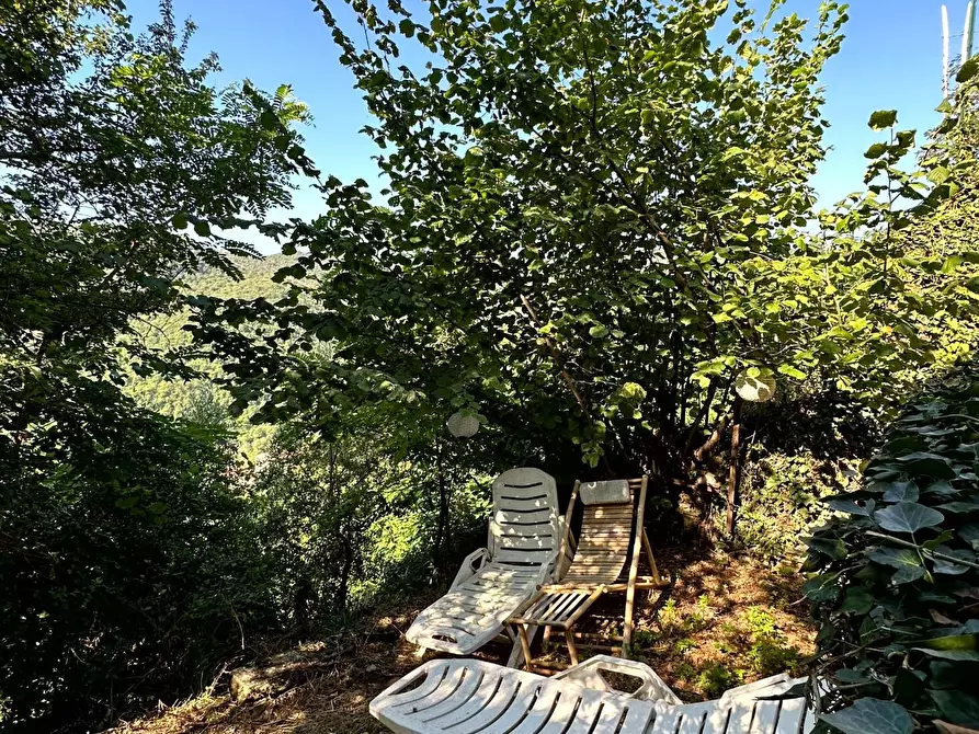 Immagine 3 di Casa semindipendente in vendita  a Villa Basilica
