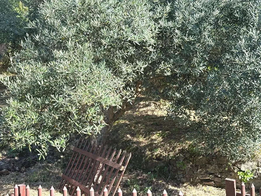 Immagine 21 di Casa semindipendente in vendita  a Villa Basilica