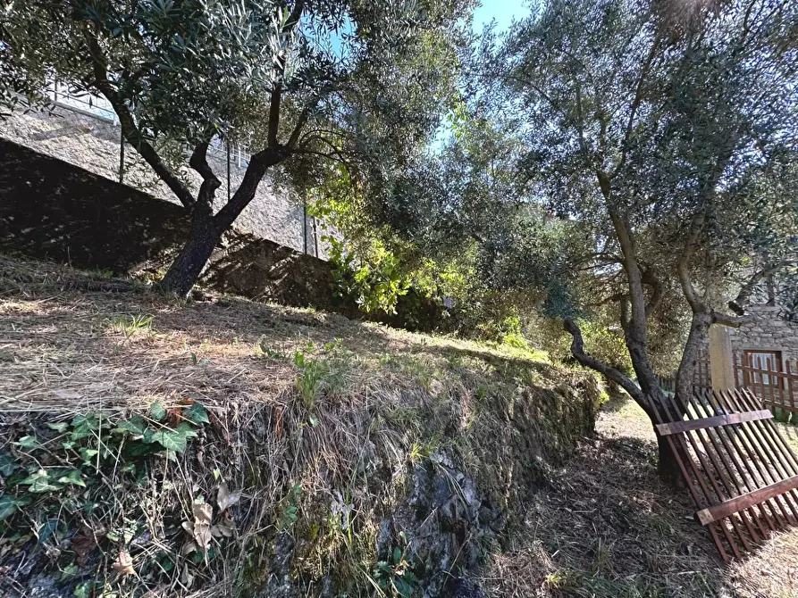 Immagine 25 di Casa semindipendente in vendita  a Villa Basilica