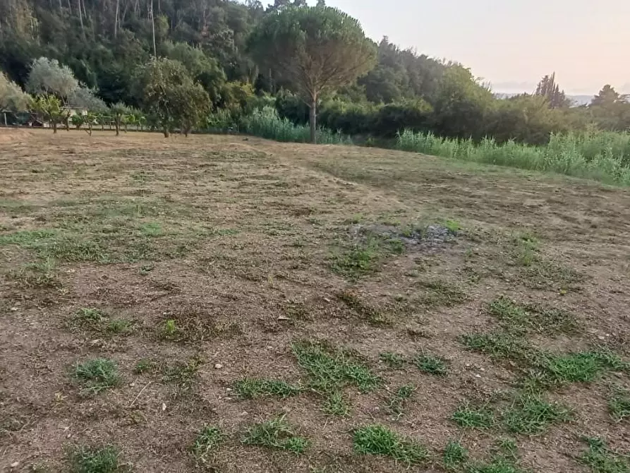 Immagine 4 di Casa indipendente in vendita  a Carrara
