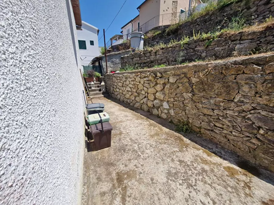 Immagine 18 di Terratetto in vendita  a Rio