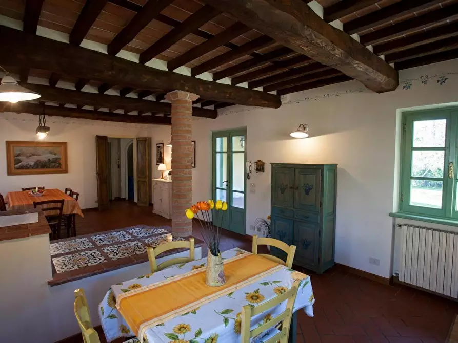 Immagine 19 di Casa colonica in vendita  a Camaiore