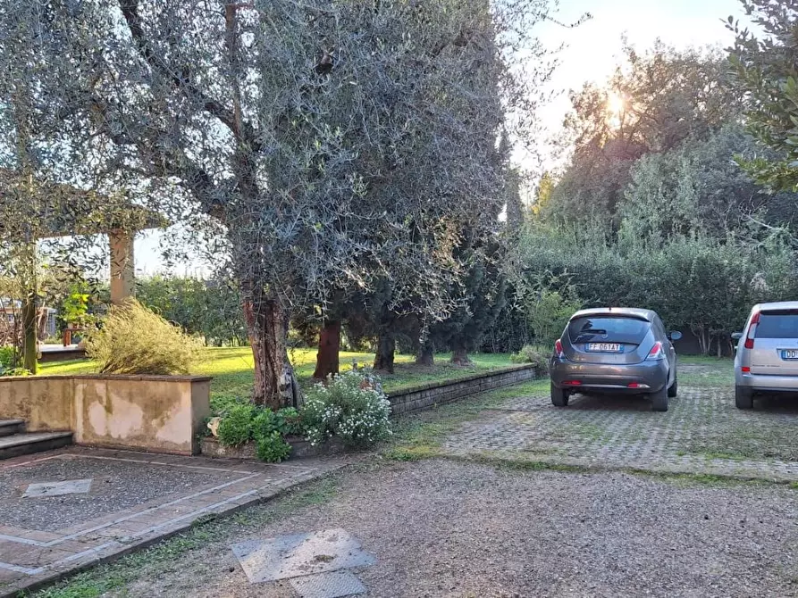 Immagine 9 di Casa colonica in vendita  a Camaiore