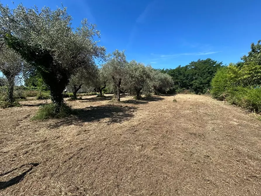 Immagine 7 di Terreno residenziale in vendita  a Ortonovo