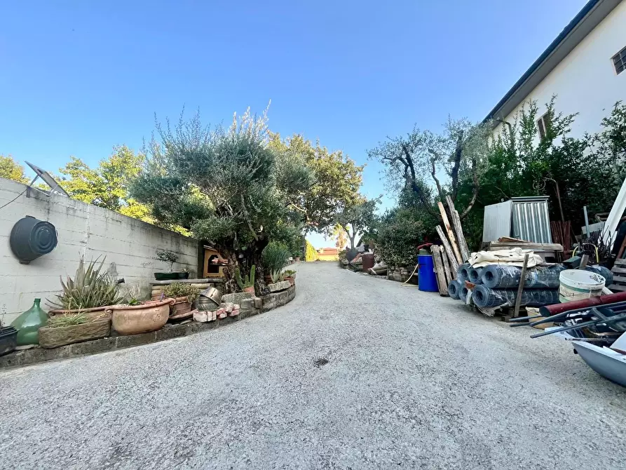 Immagine 6 di Casa semindipendente in vendita  a Larciano