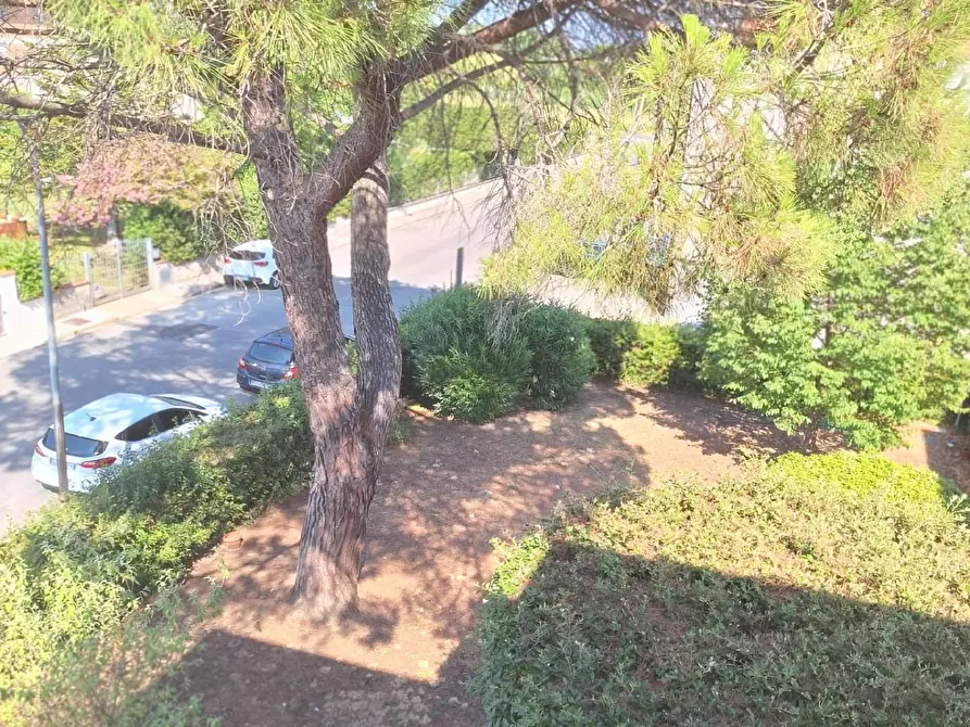Immagine 31 di Appartamento in vendita  a Cascina