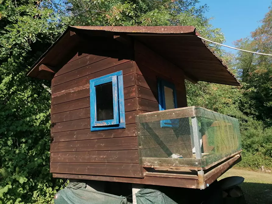 Immagine 11 di Terreno agricolo in vendita  a Casciana Terme Lari