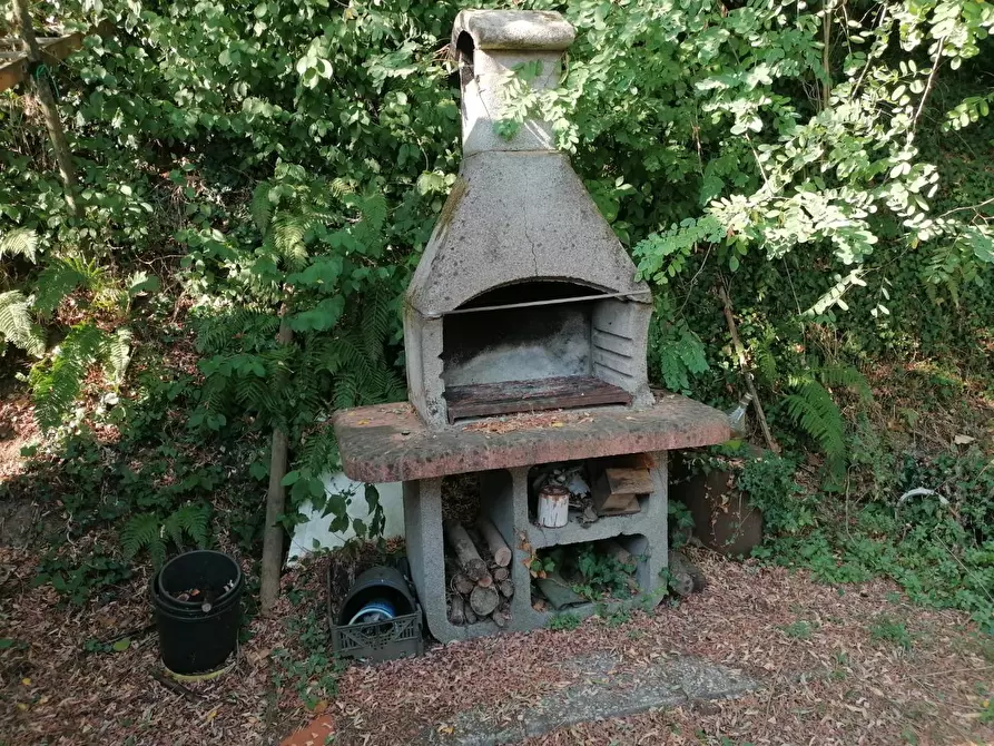 Immagine 8 di Terreno agricolo in vendita  a Casciana Terme Lari