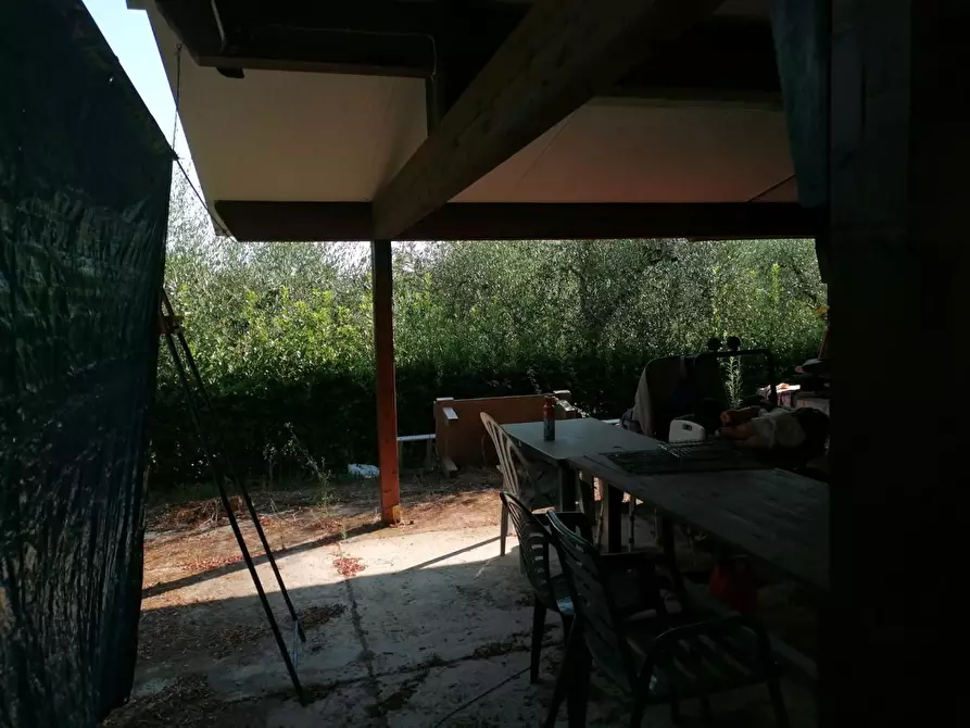 Immagine 7 di Terreno agricolo in vendita  a Casciana Terme Lari