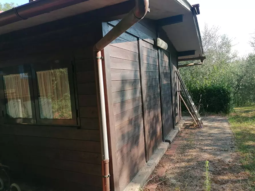 Immagine 5 di Terreno agricolo in vendita  a Casciana Terme Lari