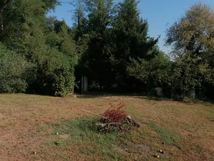 Immagine 2 di Terreno agricolo in vendita  a Casciana Terme Lari