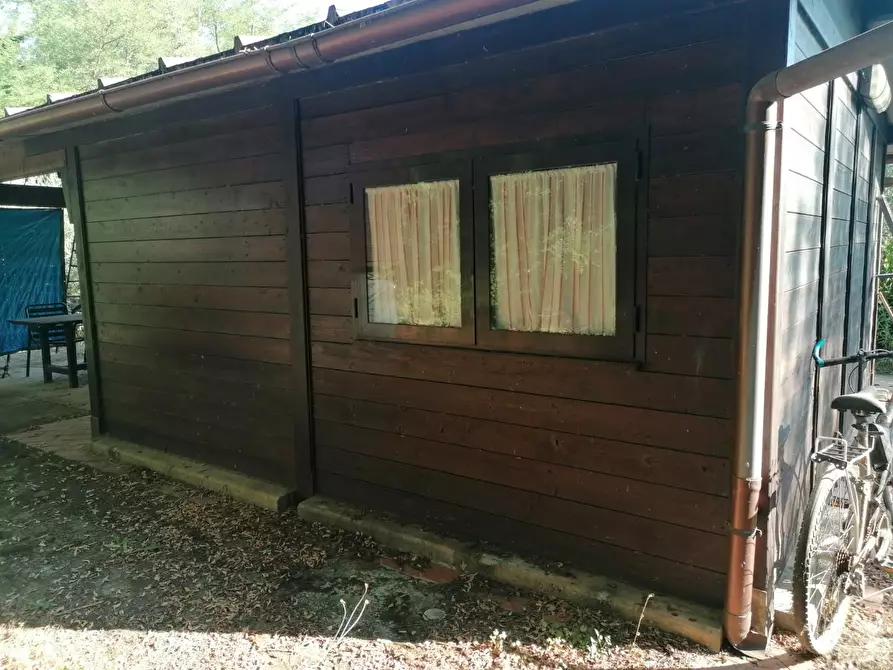 Immagine 4 di Terreno agricolo in vendita  a Casciana Terme Lari
