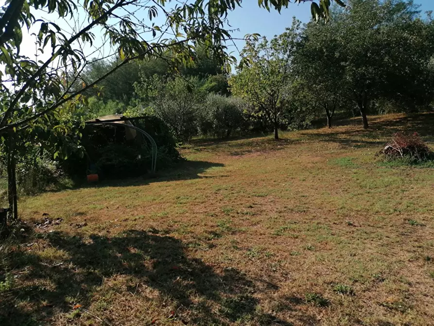 Immagine 12 di Terreno agricolo in vendita  a Casciana Terme Lari