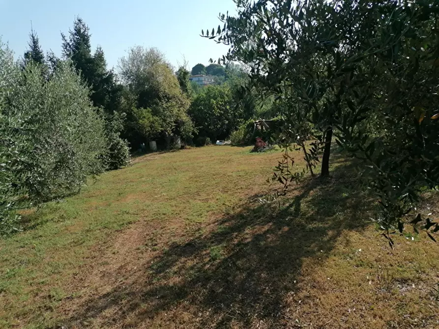 Immagine 10 di Terreno agricolo in vendita  a Casciana Terme Lari