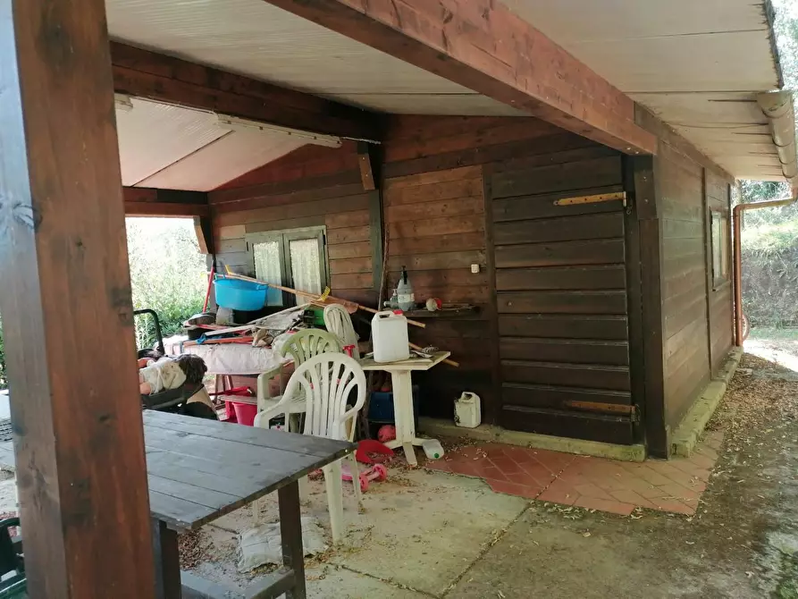 Immagine 6 di Terreno agricolo in vendita  a Casciana Terme Lari