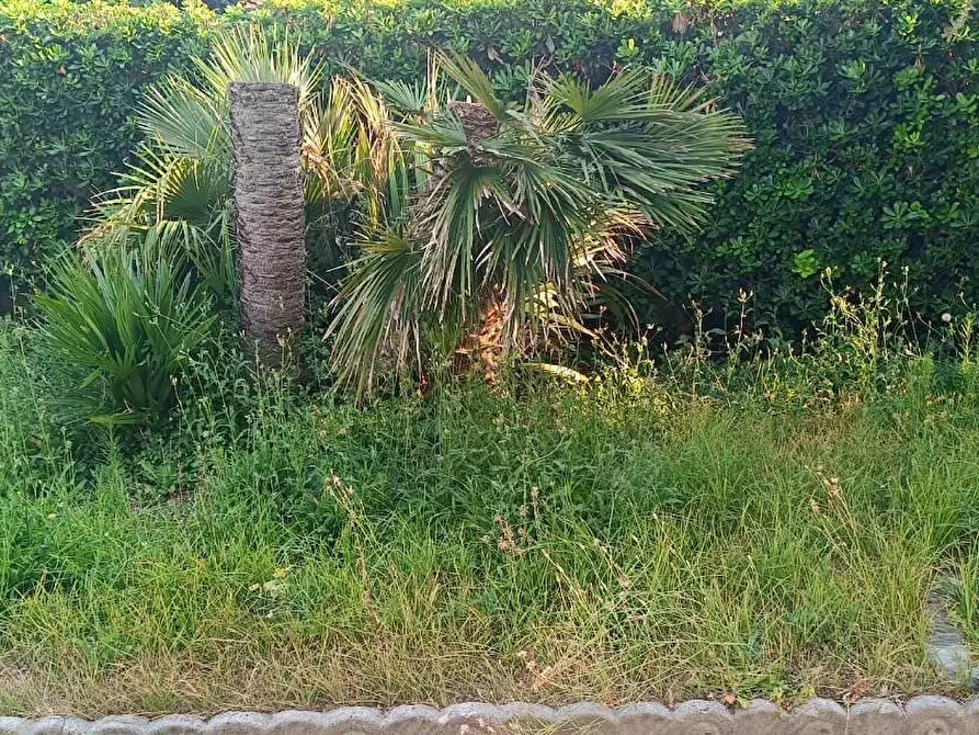 Immagine 7 di Appartamento in vendita  a Cascina