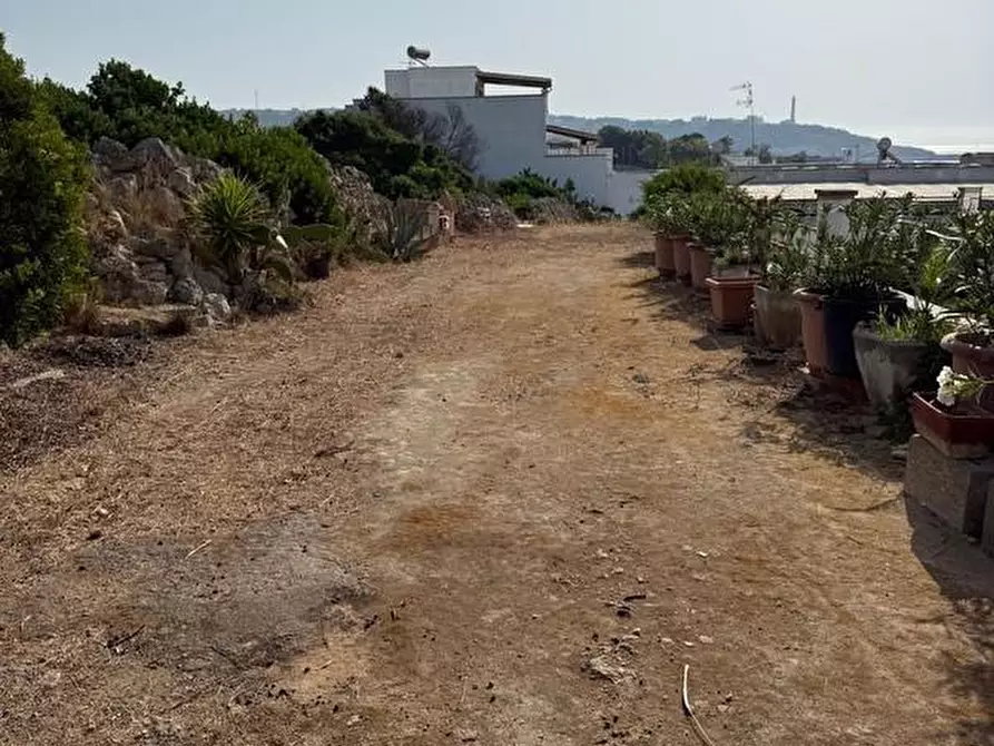 Immagine 3 di Terreno residenziale in vendita  a Castrignano Del Capo