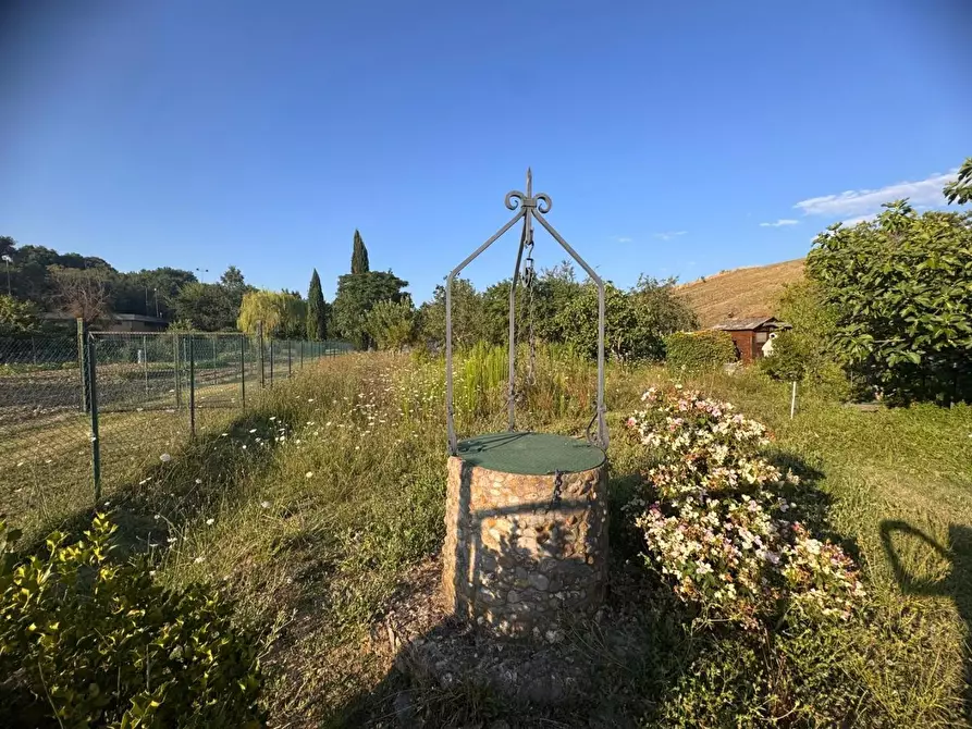 Immagine 10 di Terreno agricolo in vendita  a Siena