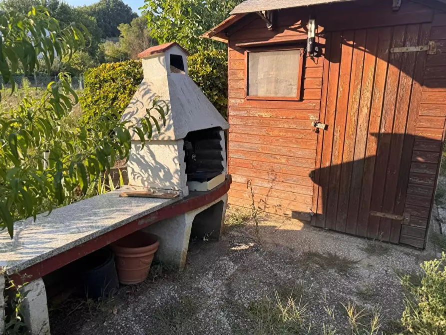 Immagine 1 di Terreno agricolo in vendita  a Siena
