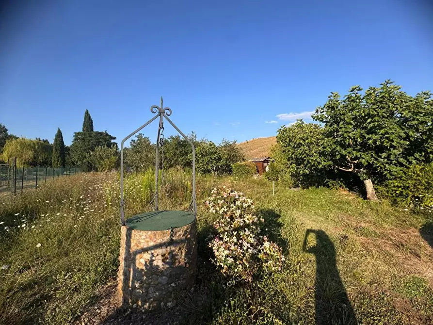 Immagine 4 di Terreno agricolo in vendita  a Siena