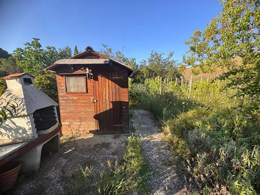 Immagine 8 di Terreno agricolo in vendita  a Siena