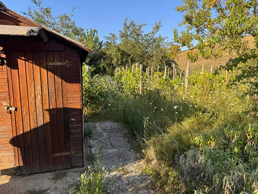 Immagine 7 di Terreno agricolo in vendita  a Siena