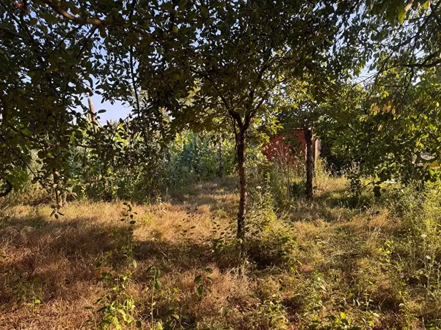 Immagine 9 di Terreno agricolo in vendita  a Siena