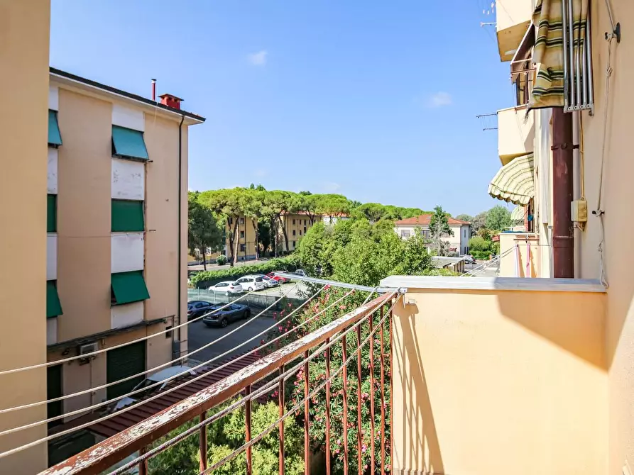 Immagine 4 di Appartamento in vendita  a Pisa