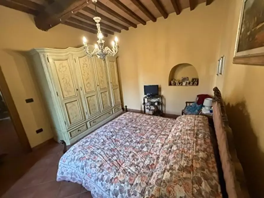 Immagine 17 di Terratetto in vendita  a San Giuliano Terme