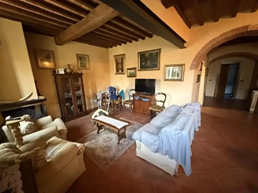 Immagine 18 di Terratetto in vendita  a San Giuliano Terme