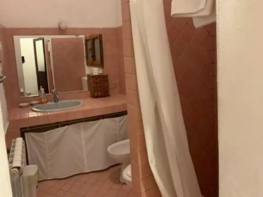 Immagine 6 di Appartamento in affitto  a Pisa