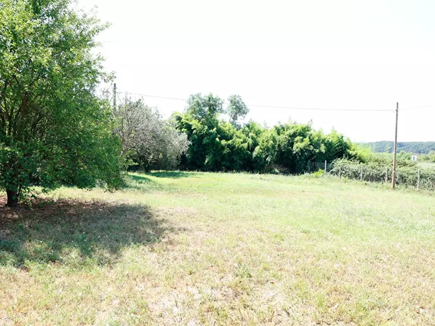 Immagine 54 di Porzione di casa in vendita  a Collesalvetti
