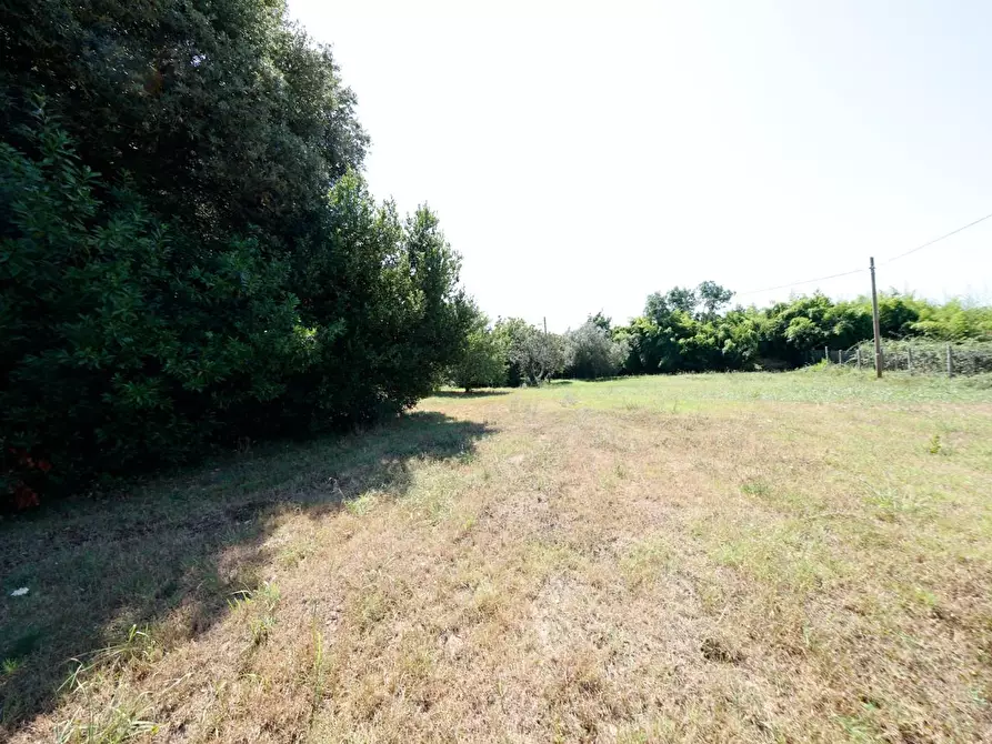 Immagine 61 di Porzione di casa in vendita  a Collesalvetti