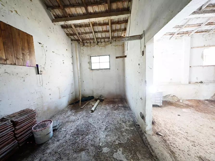 Immagine 48 di Porzione di casa in vendita  a Collesalvetti