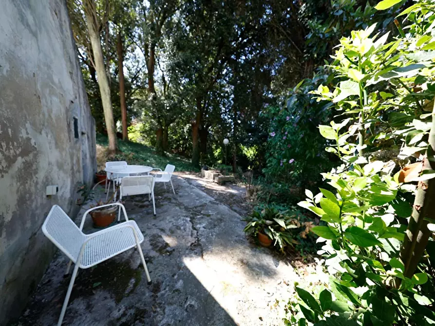 Immagine 8 di Porzione di casa in vendita  a Collesalvetti