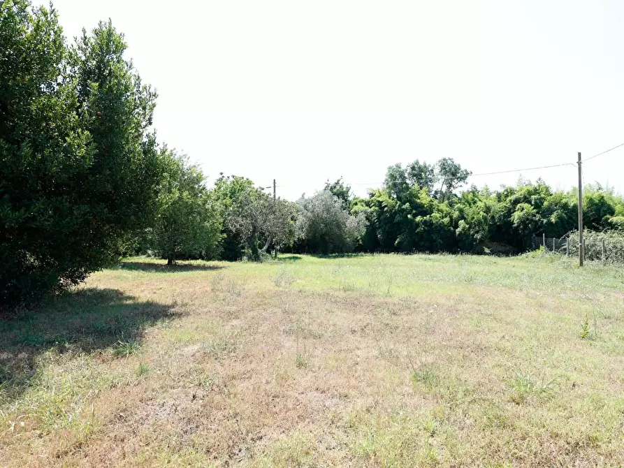 Immagine 60 di Porzione di casa in vendita  a Collesalvetti