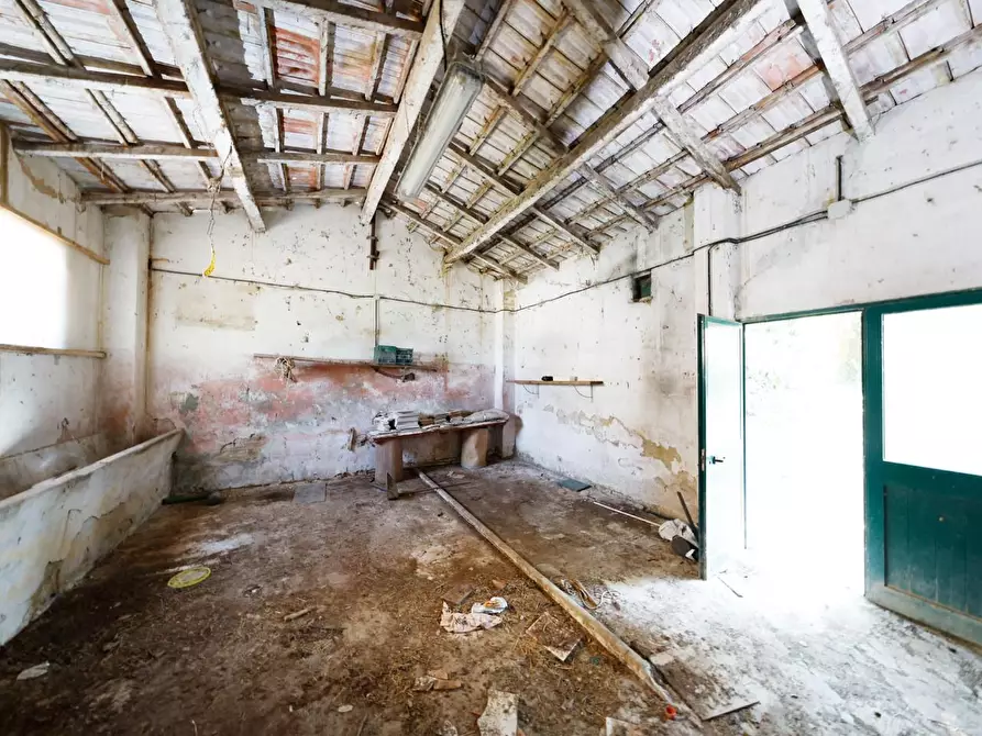 Immagine 46 di Porzione di casa in vendita  a Collesalvetti