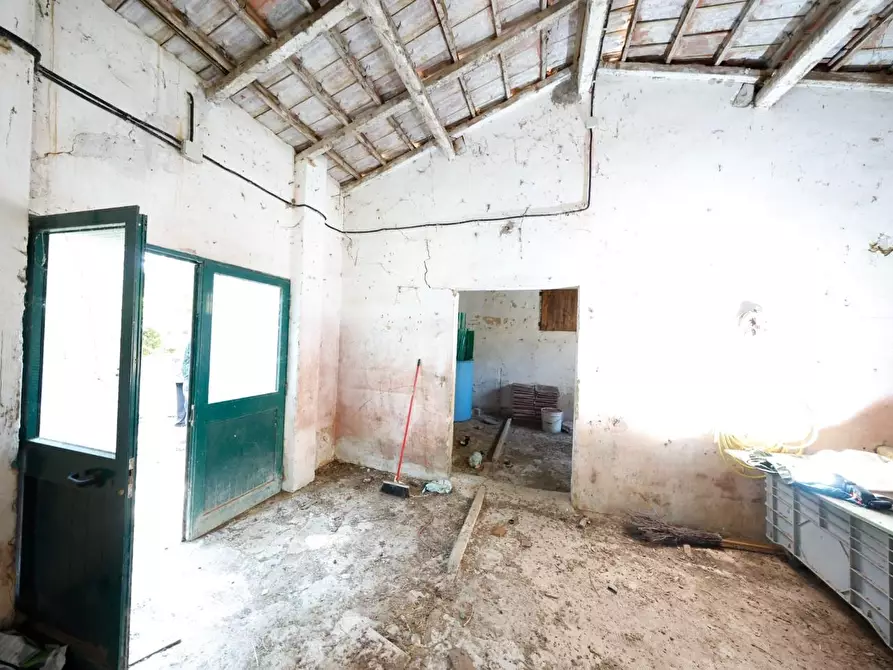 Immagine 49 di Porzione di casa in vendita  a Collesalvetti