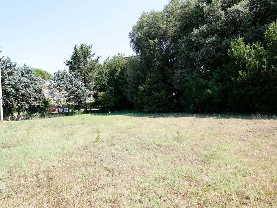 Immagine 59 di Porzione di casa in vendita  a Collesalvetti